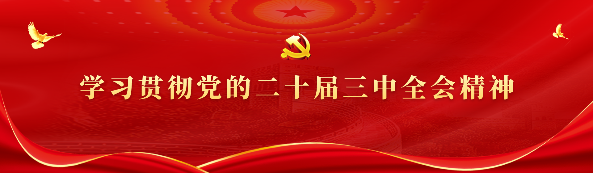 學(xué)習(xí)貫徹黨的二十屆三中全會精神